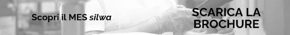 Clicca il banner per scaricare la brochure del MES silwa di Stesi