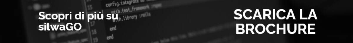 Clicca per scaricare la brochure di silwaGO, software WMS per PMI