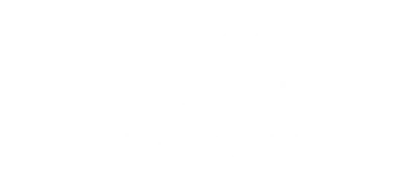 silwaGO, silwaCARRIER and silwaCAM are born