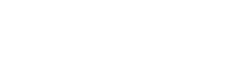 Stesi's SCES is born