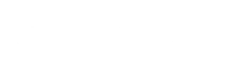 Stesi's Manufacturing Execution System