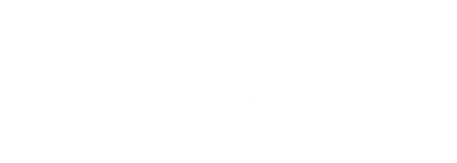 Microsoft Partner