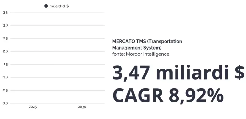 Grafico rappresentativo dell’aumento del valore del mercato del TMS software in miliardi di dollari che dal 2025 al 2030 è destinato a raddoppiare