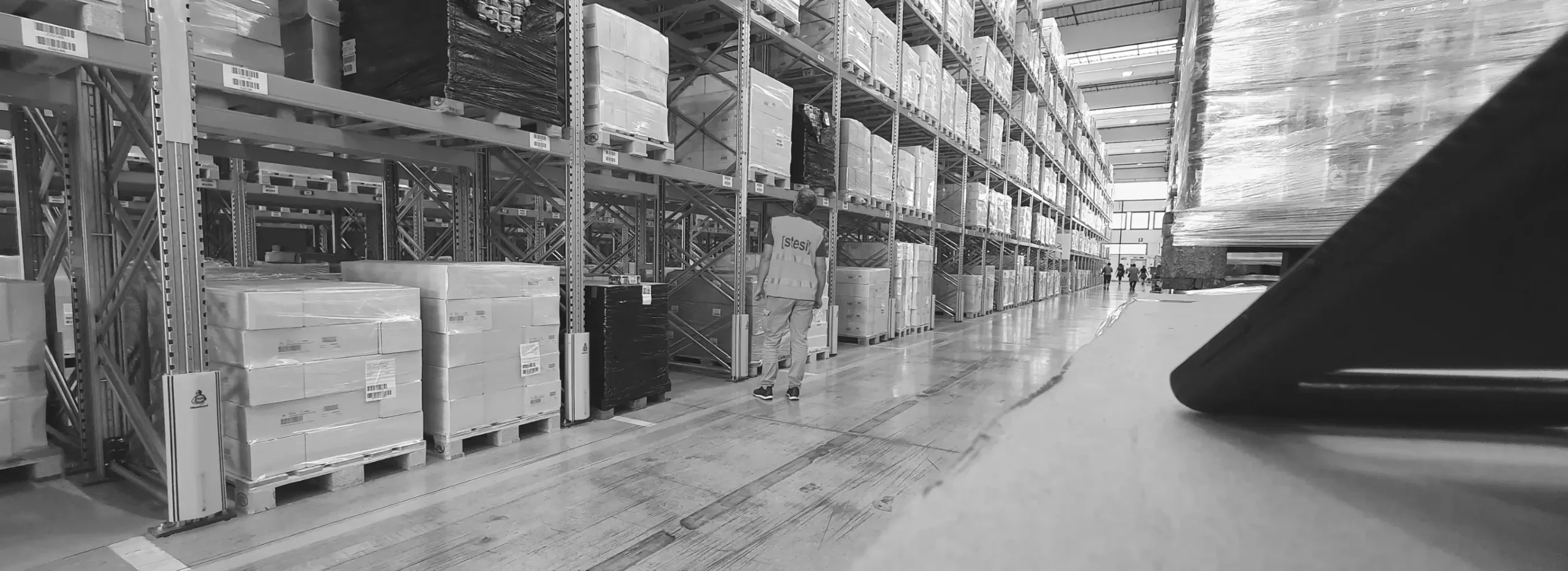 Sviluppatore software di Stesi nel magazzino di Alce Nero