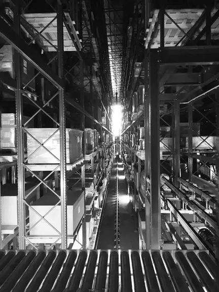 magazzino automatico con trasloelevatori comandati dal software WCS (Warehosue Control System) con pallet stoccati