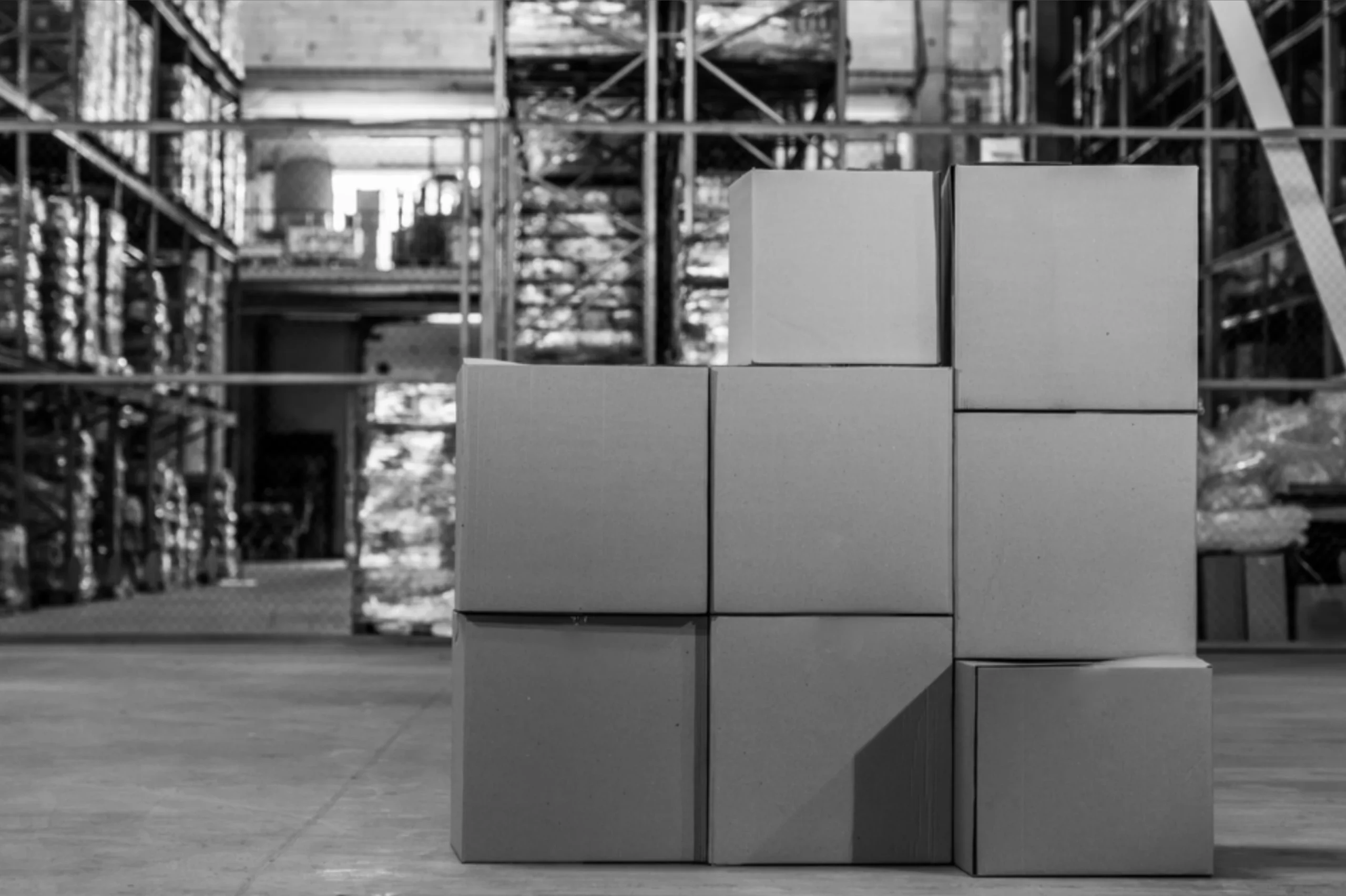 Warehouse Stock Management: double your efficiency with the right WMS