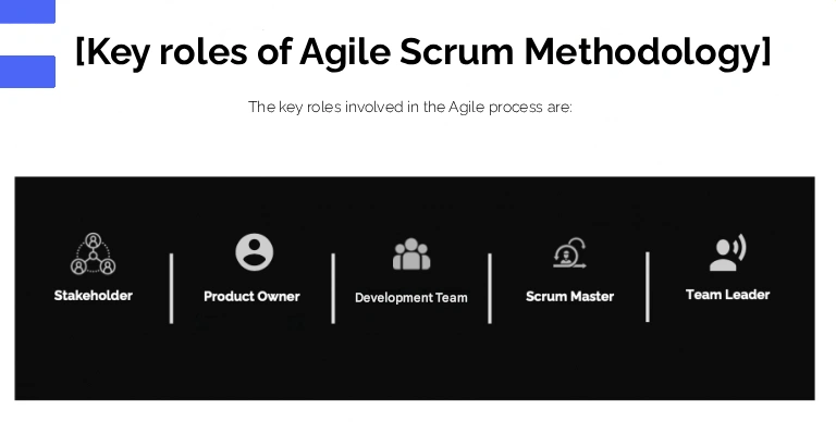 Agile Scrum methodology key roles: Product Owner, Development Team, Scrum Master, Team Leader, Stakeholders