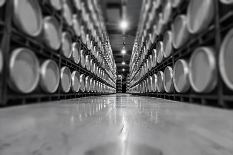 Wine logistics: efficiency, multichannel distribution and technology supporting wineries
