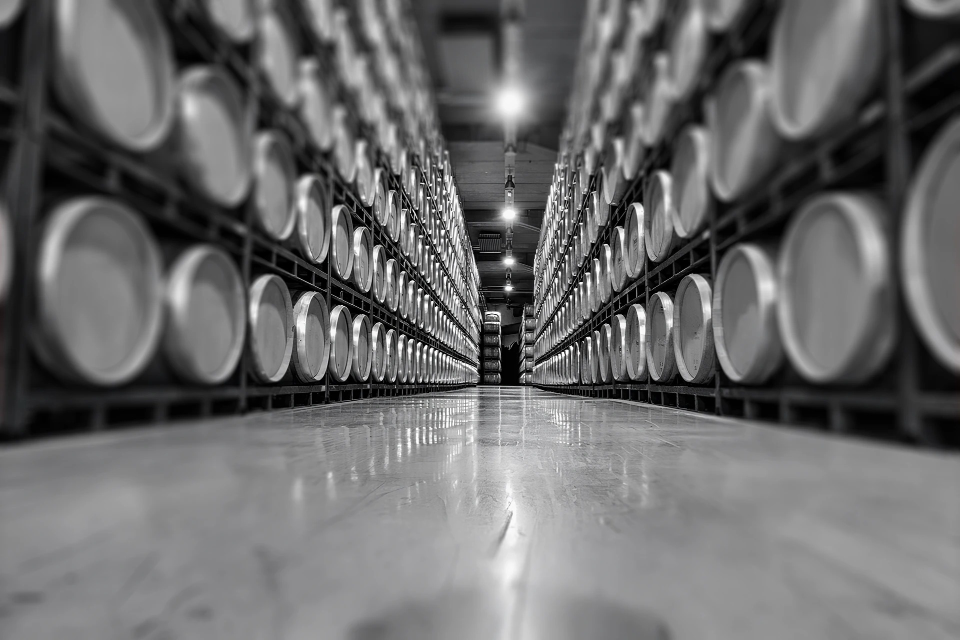 Wine logistics: efficiency, multichannel distribution and technology supporting wineries